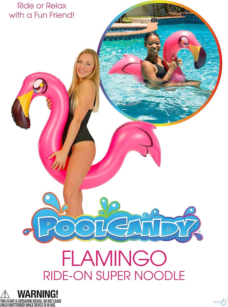 Poolcandy Inflatable Animal Swim Noodles - Image 5